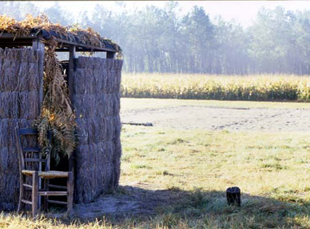 Cabane2